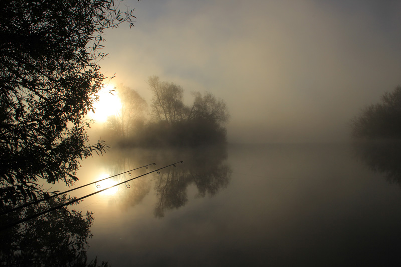 Image result for misty mornings