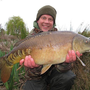 80353_t5_graham_carp.jpg_cap