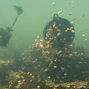 br_aug08_bait_dropper.jpg_cap