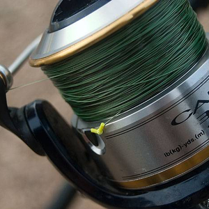 matt_brown_tt_clip.jpg_cap