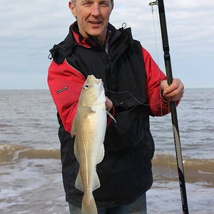 multipliers_jun09_cod.jpg_cap