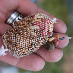 pasture_house_feb11_pva.jpg_cap