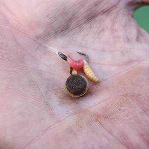 pasture_house_feb11_rig.jpg_cap