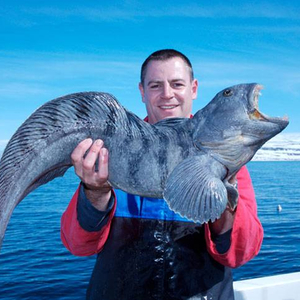 ss_iceland_pic9.jpg_cap