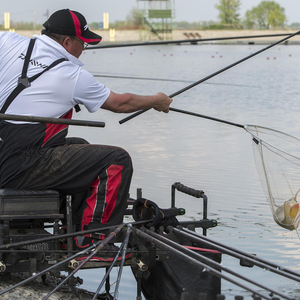Will netting a fish