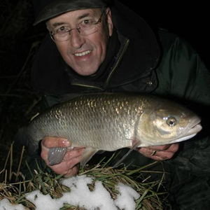 winter_barbel_chub.jpg_cap