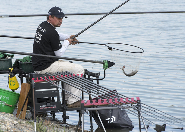 2014 WalterLand Masters by Steve Ringer - Part One