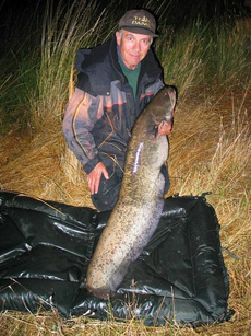 38lb Catfish, from Daiwa Manton