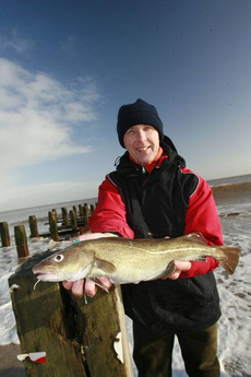 A classic spring codling