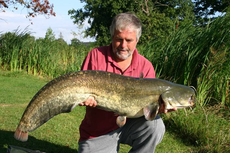 I have a real love hate relationship with cats. If I'm fishing for them deliberately, I marvel at their power and endurance, bu