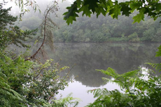 Still and Quiet. Early morning Etang Meunier