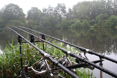 The calm after the storm, but will it make the fish feed?