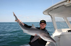 A good Tope for Steve Souter on a visit to the Channel Islands