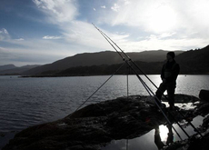 The quiet shores of Loch Sunart.