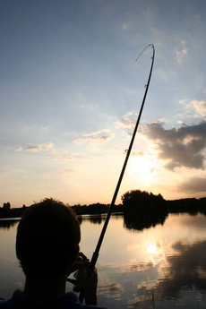 Last knockings. Messingham Sands and a floater caught carp is on.