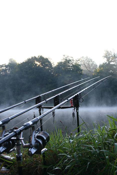 A misty dawn on Etang Meunier.