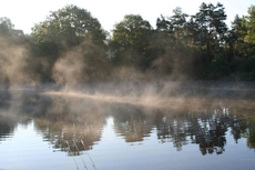 As day breaks, and the mist swirls, will the bobbin sound? The magic of angling!