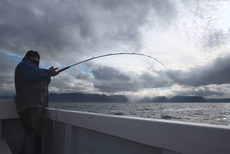 Edinburgh's Les McBride locks horns with another big cod in "The Land of Fire and Ice"