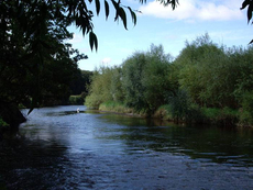 Ladypitt Farm on the R Trent.