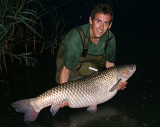 50lb+ grass carp from a trip to France.
