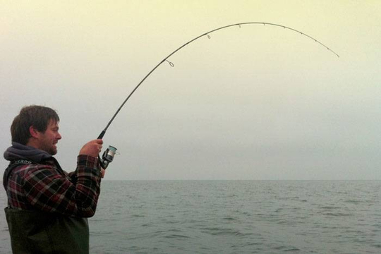 16950_branzino-80-rod-1.jpg_cap 16950_branzino-80-rod-1.jpg_cap