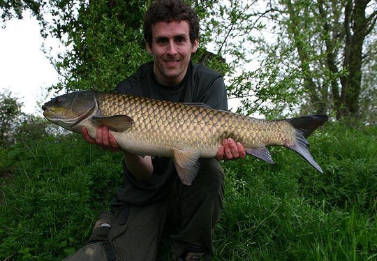 62925_martyn_skoyles_may12_p2.jpg_cap 62925_martyn_skoyles_may12_p2.jpg_cap