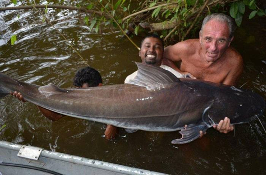 92932_joe_lau-lau-144.jpg_cap