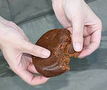 ms_ashmead_oct08_paste1.jpg_cap ms_ashmead_oct08_paste1.jpg_cap