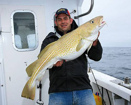 super_shetland2.jpg_cap