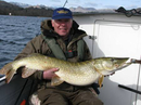 25-04 of stunning Lake District predator